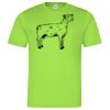 Cool T Sports Shirt Thumbnail