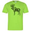 Cool T Sports Shirt Thumbnail